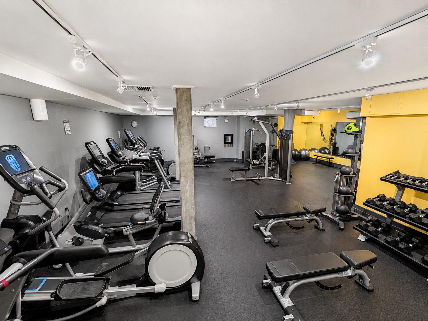 Washington Plaza fitness room with cardio equipment, benches and free weights